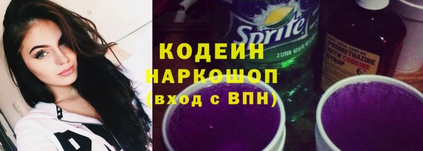 шишки Балахна