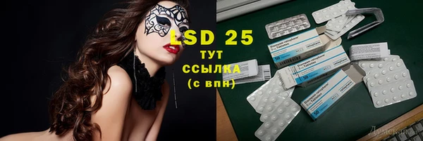 стаф Баксан