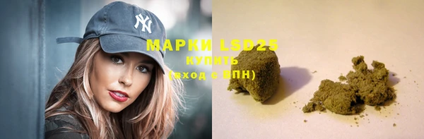 шишки Балахна