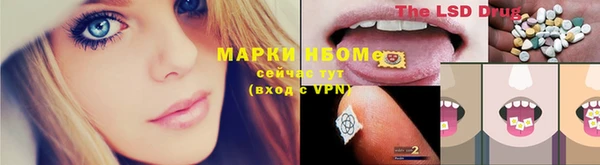 стаф Баксан