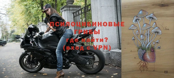 стаф Баксан