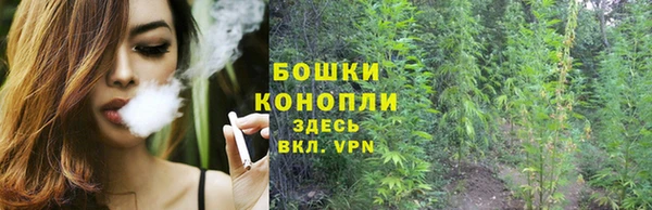 шишки Балахна