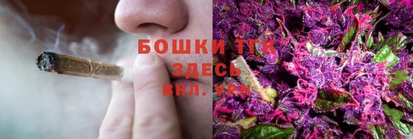 стаф Баксан