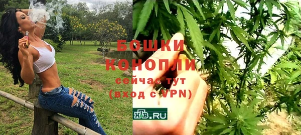 шишки Балахна
